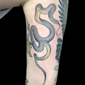 dynamic colour realism tattoo by Will at Have Faith Tattoo Bath